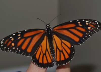 Yoga, the True Self, and fear of change