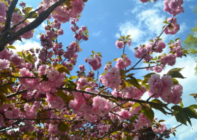 You make beautiful things…