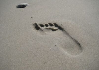 The last chapter is not the end, just the opposite