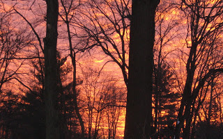Preparing for a death, not a birth this Advent