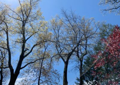 Manic Monday: poetry, podcasts and more