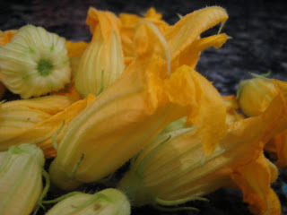 Summer blossoms, stuffed and fried UPDATED