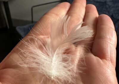 The thing with feathers