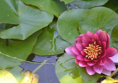 Mindfulness: It’s not just for Buddhists