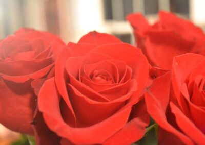Give your Valentine more than flowers and chocolate