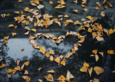 Is it okay to feel joy in a world of misery? It’s necessary.