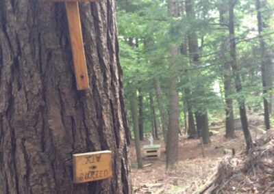 Way of Sorrow: Seeing an old path with new eyes