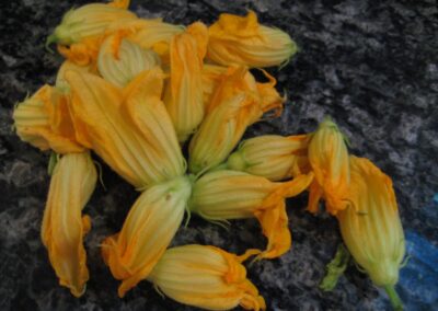 Foodie Friday: Zucchini blossoms, stuffed, battered and fried. Yum.