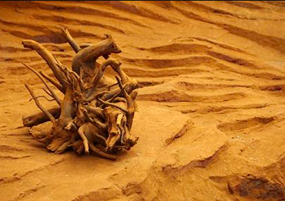 Standing in the desert side by side