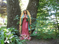 Official Mary garden: Phase one